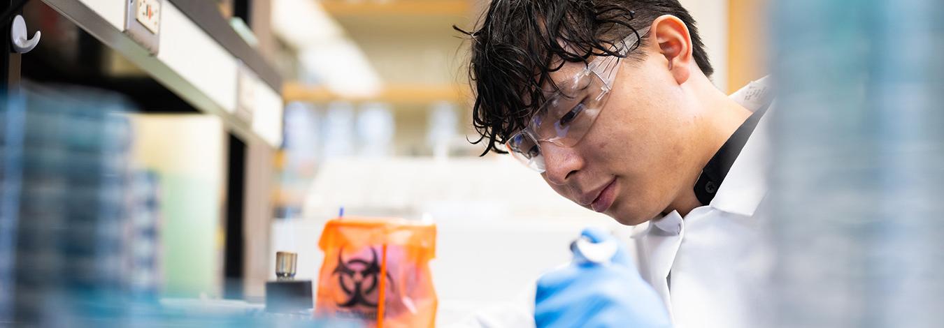 戴护目镜的科学家, lab coat 和 blue gloves uses pipette to drip liquid into a Petri dish.